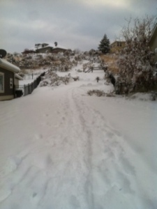 Winter fun...a walking path near my house
